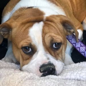 Meet your Posher, Tonya